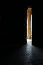 In the darkness in sunlight shining pillar with gothic figures of saints / Cathedral of Metz