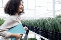 Darkskinned female farmer stands on stepladder among grown flowers