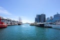 Darling Harbor Sydney during Clear Bright Sky