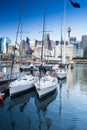 Darling Harbour Sydney Australia Royalty Free Stock Photo