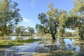 The Darling river. Royalty Free Stock Photo