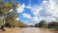 The Darling River in Flood at Bourke. Riverbank lined with gum trees