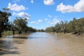 The Darling River in Flood at Bourke. Riverbank lined with gum trees