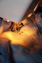 Darn jeans on the machine Royalty Free Stock Photo