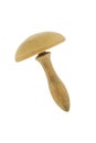 Darning mushroom Royalty Free Stock Photo