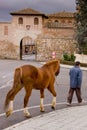 Daroca, Aragon, Spain, man with the horse to the gate of the cit Royalty Free Stock Photo