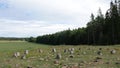 Darskild Mounds stone circle burial ground in Sweden