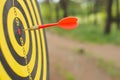 Dart board with darts arrow in the target center in the park