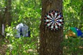 Dart board hangs from a tree against a blurred forest background with tents. Entertainment and leisure in the hike Royalty Free Stock Photo