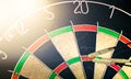 Dart board with winning darts. Success and business concept. Royalty Free Stock Photo