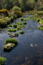 The Dart River In Early Spring Season At Postbridge, Dartmoor Na Royalty Free Stock Photo
