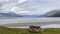 Dart river, Kinloch, Otago, New Zealand