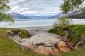 Dart river near Kinloch, Otago, New Zealand