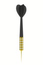 Dart on a white background Royalty Free Stock Photo