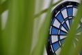 Dartboard darts blue behind the green leaves Royalty Free Stock Photo