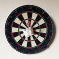 Dartboard with Steeldarts and euro in it