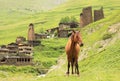 Dartlo village. Tusheti region (Georgia) Royalty Free Stock Photo