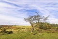 Dartmoor in Devon, Southern England Royalty Free Stock Photo