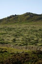 Dartmoor Granite Tors Royalty Free Stock Photo