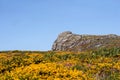 Dartmoor National Park