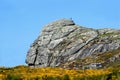 Dartmoor National Park