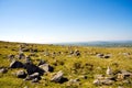 Dartmoor National Park