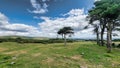 Dartmoor National Park  Buckland Beacon Devon Royalty Free Stock Photo