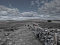 Dartmoor National Park , Devon Royalty Free Stock Photo