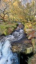Dartmoor National Park. Devonport Leat  Devon Illustration Art Royalty Free Stock Photo