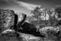 Dartmoor Path Royalty Free Stock Photo