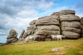 Dartmoor Ponies near Saddle Tor, Dartmoor Devon, UK