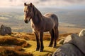 Dartmoor pony - United Kingdom (Generative AI)