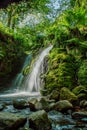 Dartmoor Waterfall