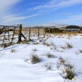 Dartmoor winter