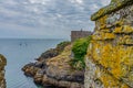 Dartmouth castle on Dart estuary Royalty Free Stock Photo