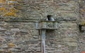 Detail of Battlements, Construction Royalty Free Stock Photo