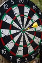 Darts in bull`s eye. Close up view of one yellow darts arrows in the target center