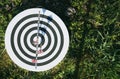 Darts with colored arrows top view Royalty Free Stock Photo