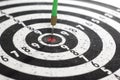 Darts success Royalty Free Stock Photo