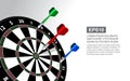 Darts target isolated .