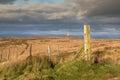 Darwen Tower, Lancashire Royalty Free Stock Photo