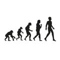 Darwin evolution of human. From monkey to modern people.