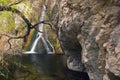 Darwin Falls in Death Valley Royalty Free Stock Photo