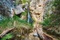 Darwin Falls in Death Valley