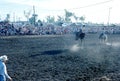 1976. Australia. N.T. Darwin. Rodeo. Royalty Free Stock Photo