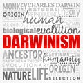 Darwinism word cloud collage, education concept background Royalty Free Stock Photo