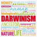 Darwinism word cloud collage, education concept background Royalty Free Stock Photo