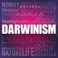 Darwinism word cloud collage, education concept background Royalty Free Stock Photo