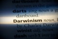 Darwinism Royalty Free Stock Photo