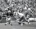 Daryle Lamonica, Oakland Raiders QB